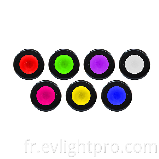 Full Color House Light